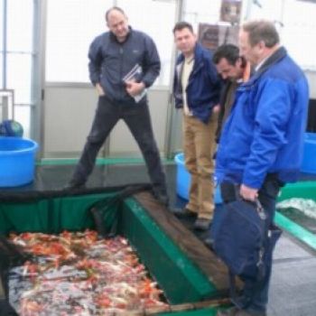 Japanreise 2007 Bauer Stefan